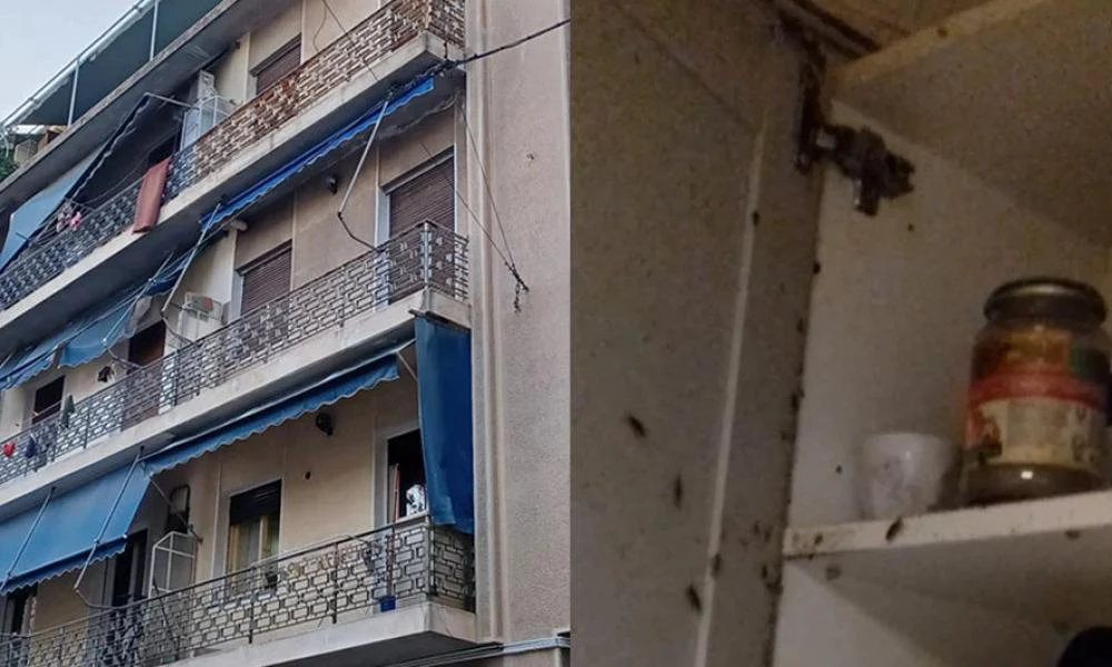 Άγιος Παντελεήμονας: Έλεγε στα παιδιά της ότι οι κατσαρίδες ήταν πεταλούδες – Ξέσπασε η πρόεδρος του δικαστηρίου